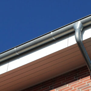 Emergency gutter repairs Charmouth
